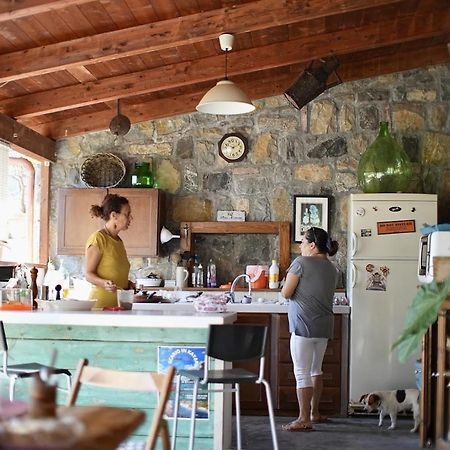 B&B Casa Dei Nonni スカリオ エクステリア 写真